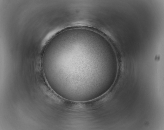 X0000111041358200906251351