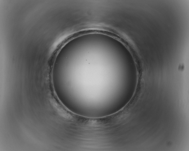 X0000111041360200906251351
