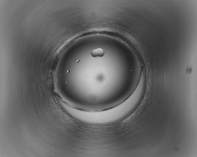 X0000111041361200906251351