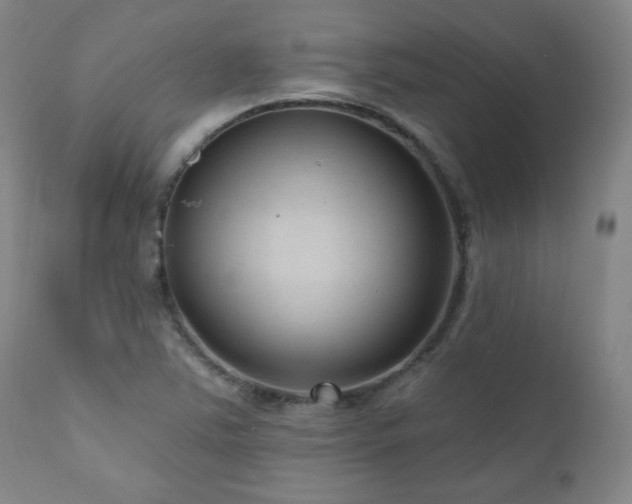 X0000111041363200906251351