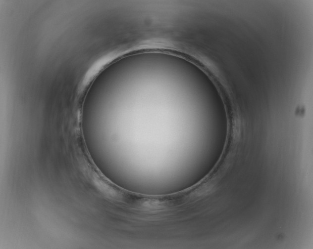 X0000111041366200906251351