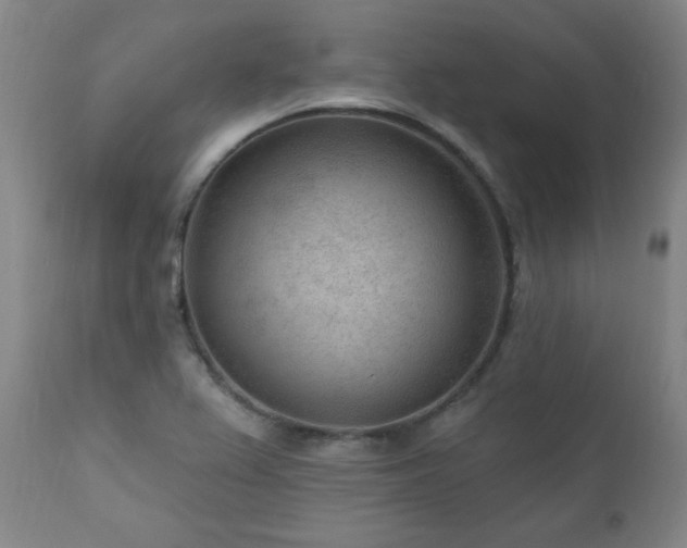 X0000111041367200906251351