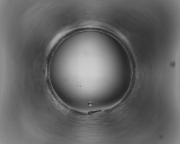 X0000111041368200906251351