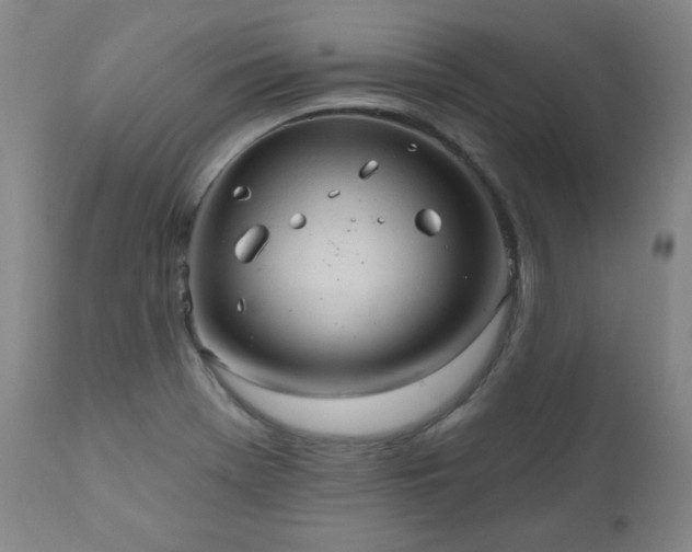 X0000111041369200906251351