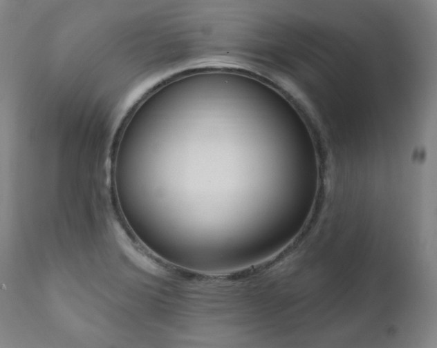 X0000111041372200906251351