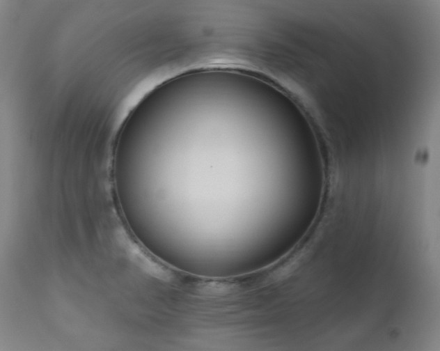 X0000111041374200906251351