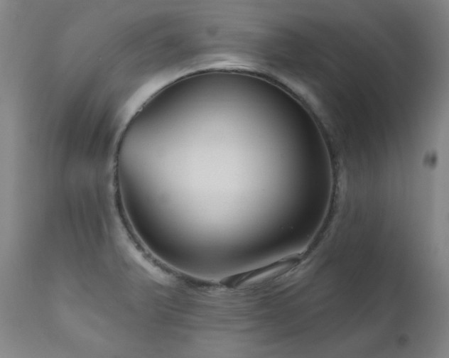 X0000111041375200906251351