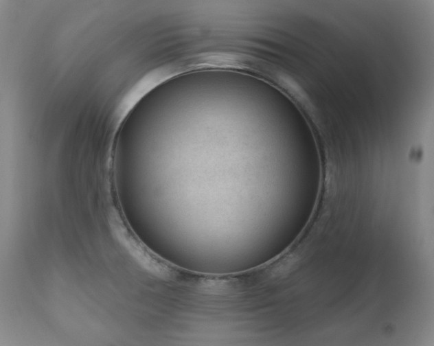X0000111041378200906251351