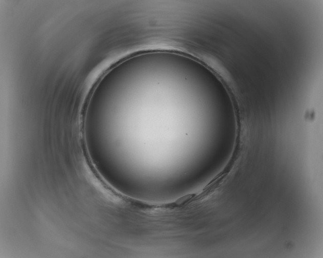 X0000111041380200906251351