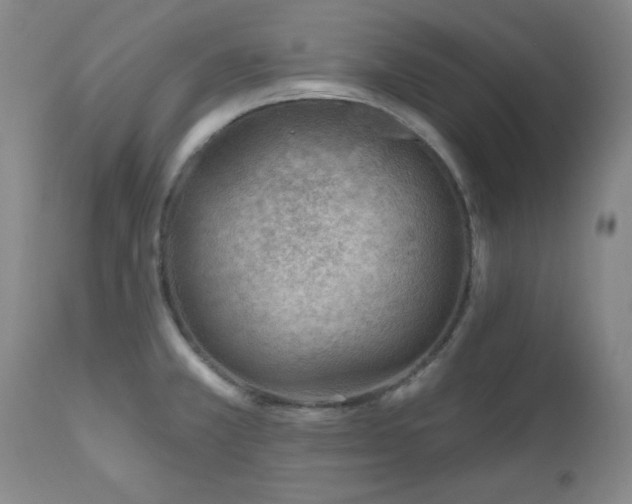 X0000111041381200906251351
