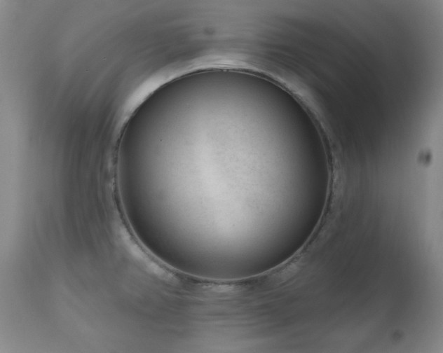 X0000111041382200906251351