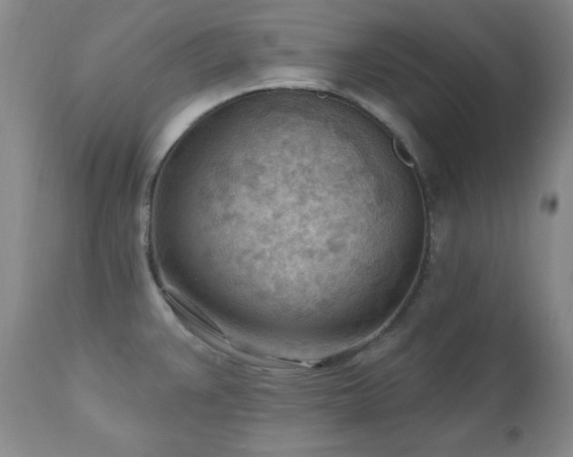 X0000111041383200906251351
