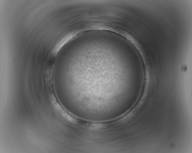 X0000111041385200906251351