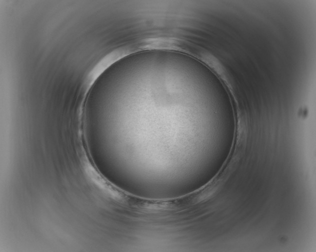 X0000111041386200906251351