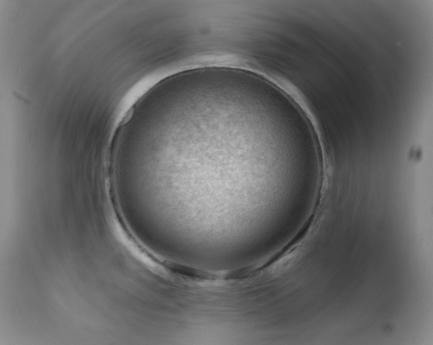 X0000111041389200906251351