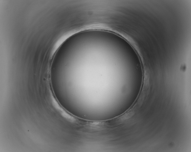 X0000111041390200906251351