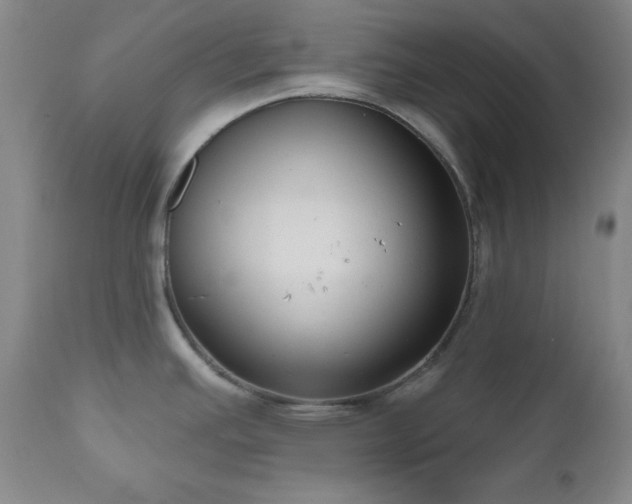 X0000111041391200906251351
