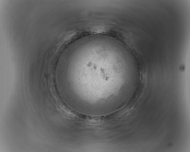 X0000111041393200906251350