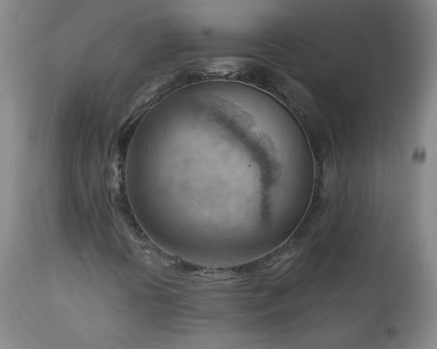 X0000111041394200906251350