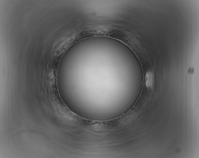 X0000111041395200906251350