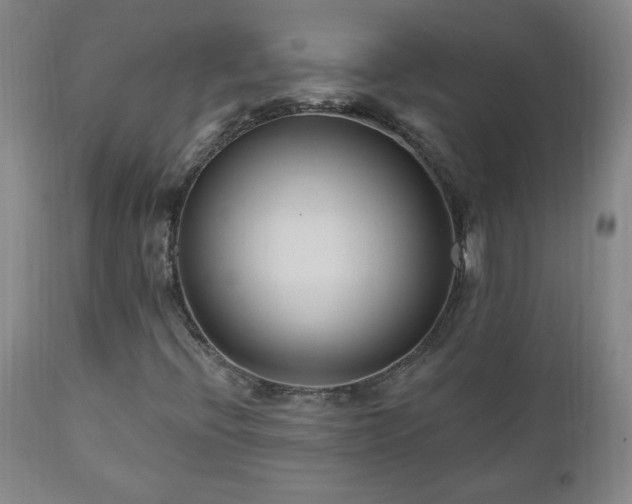 X0000111041396200906251350