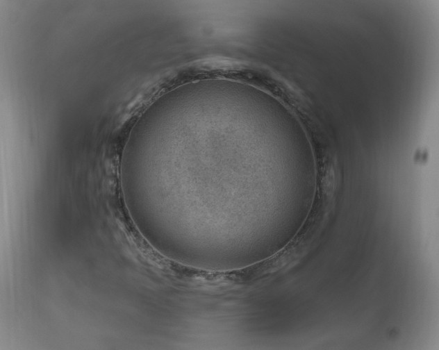 X0000111041397200906251350