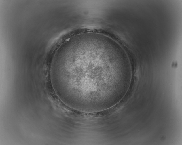 X0000111041398200906251350