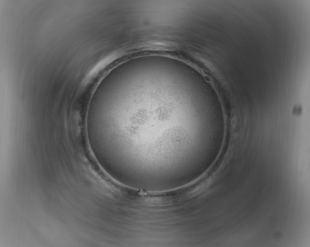 X0000111041402200906251350