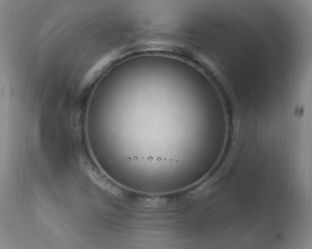 X0000111041403200906251350