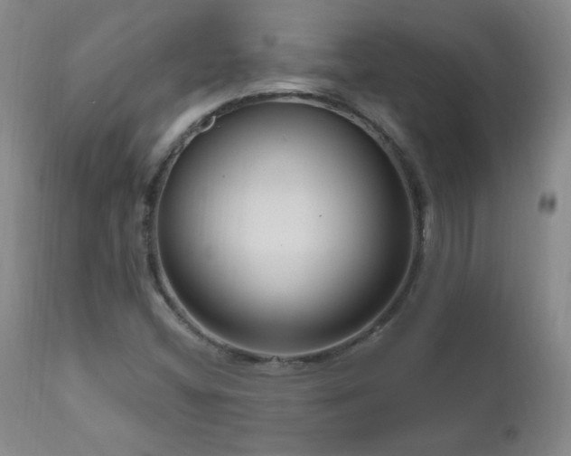 X0000111041404200906251350