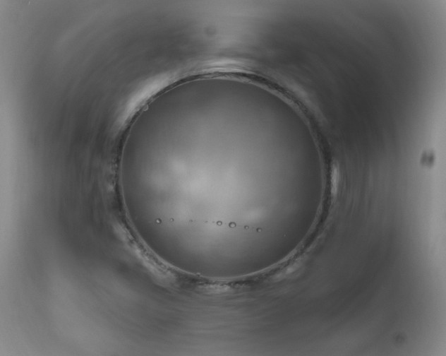 X0000111041405200906251350
