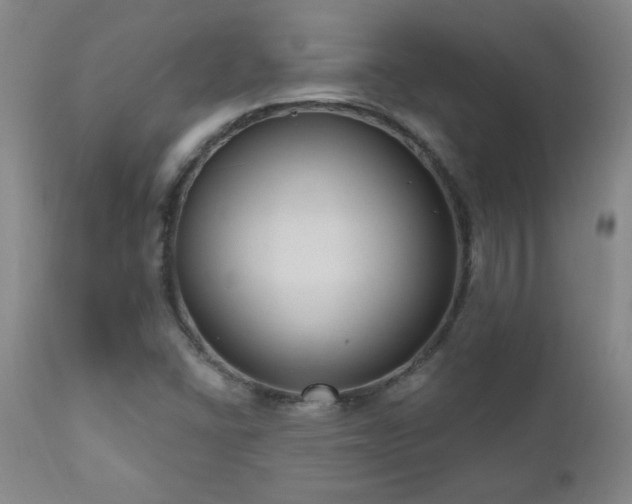 X0000111041406200906251350