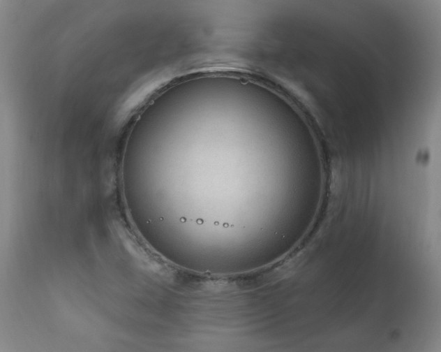 X0000111041407200906251350