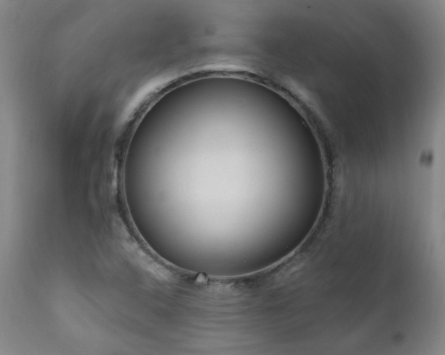 X0000111041408200906251350