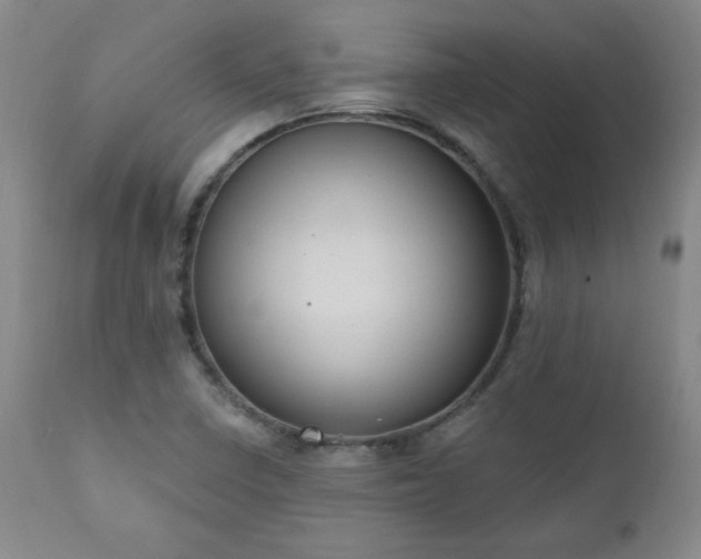 X0000111041410200906251350