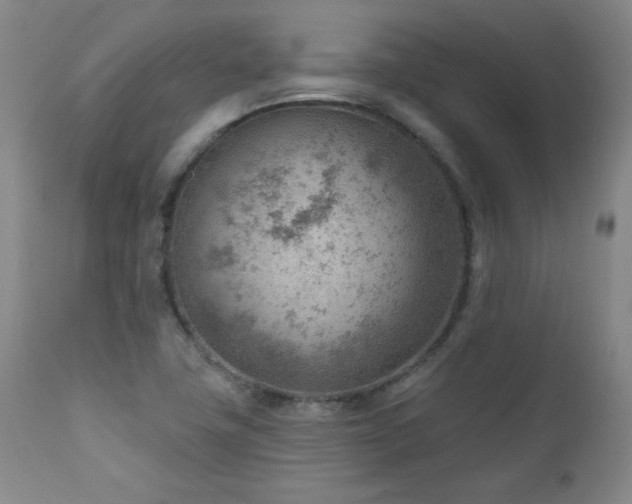 X0000111041411200906251350