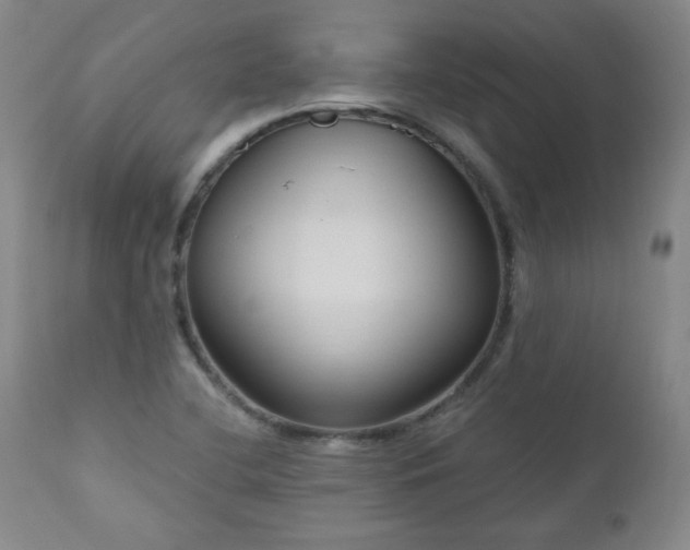 X0000111041412200906251350