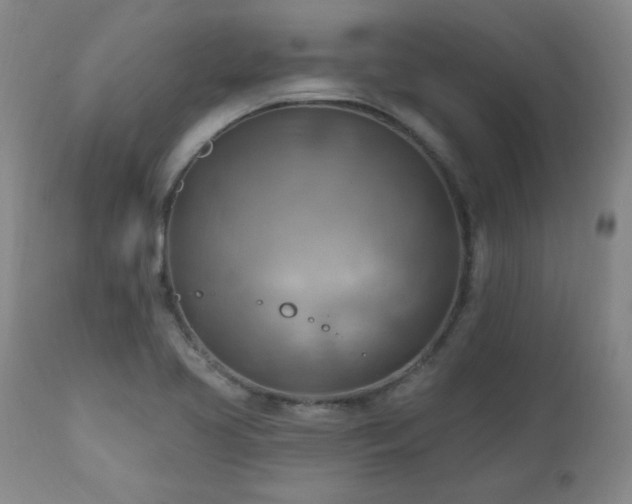 X0000111041413200906251350