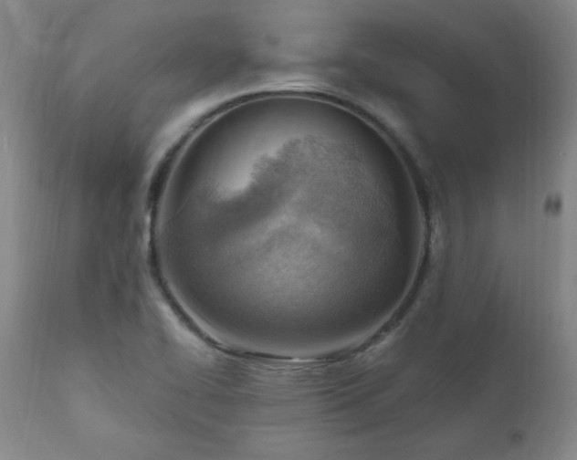 X0000111041414200906251350