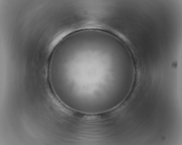 X0000111041415200906251350