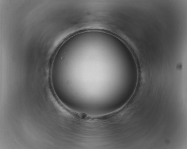 X0000111041416200906251350