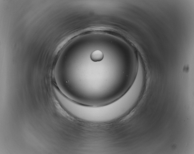 X0000111041417200906251350