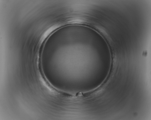 X0000111041418200906251350