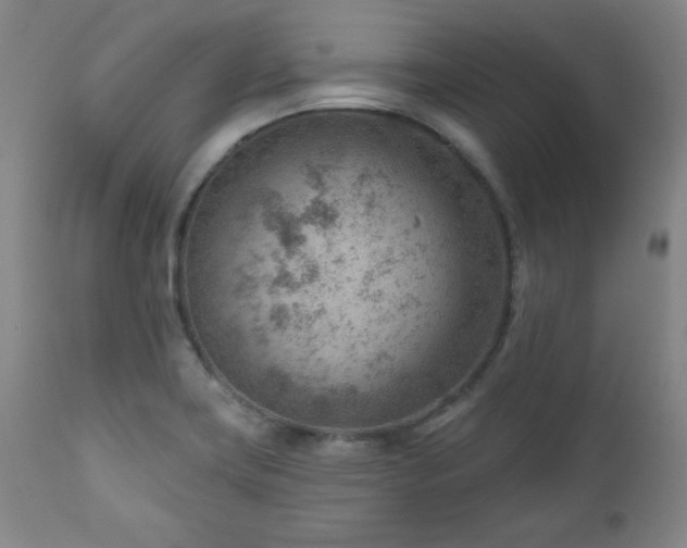 X0000111041419200906251350
