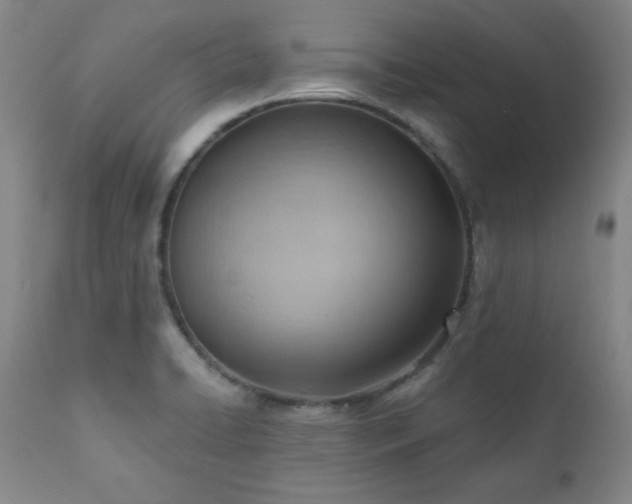 X0000111041422200906251350