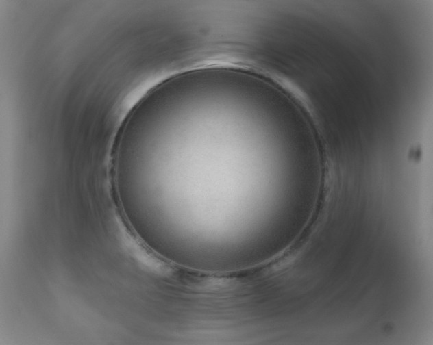 X0000111041423200906251350