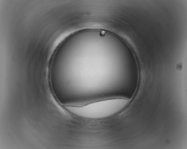 X0000111041424200906251350