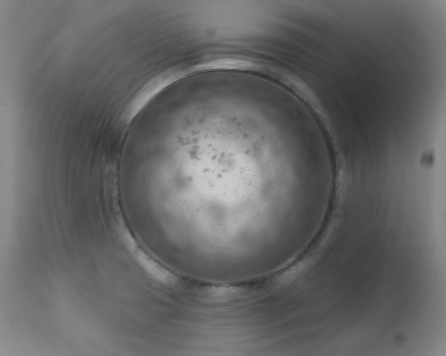 X0000111041425200906251350