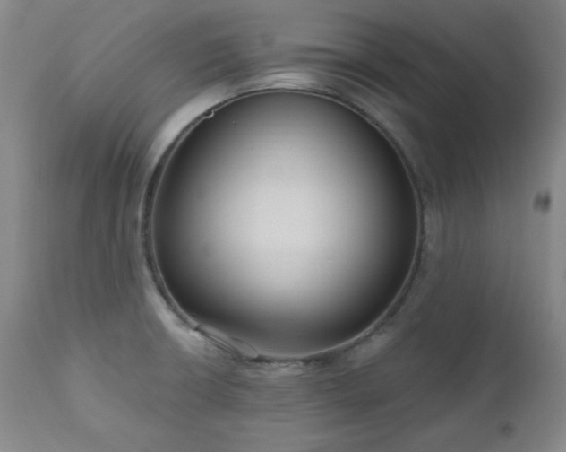 X0000111041426200906251350