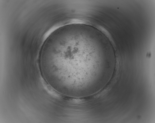 X0000111041427200906251350